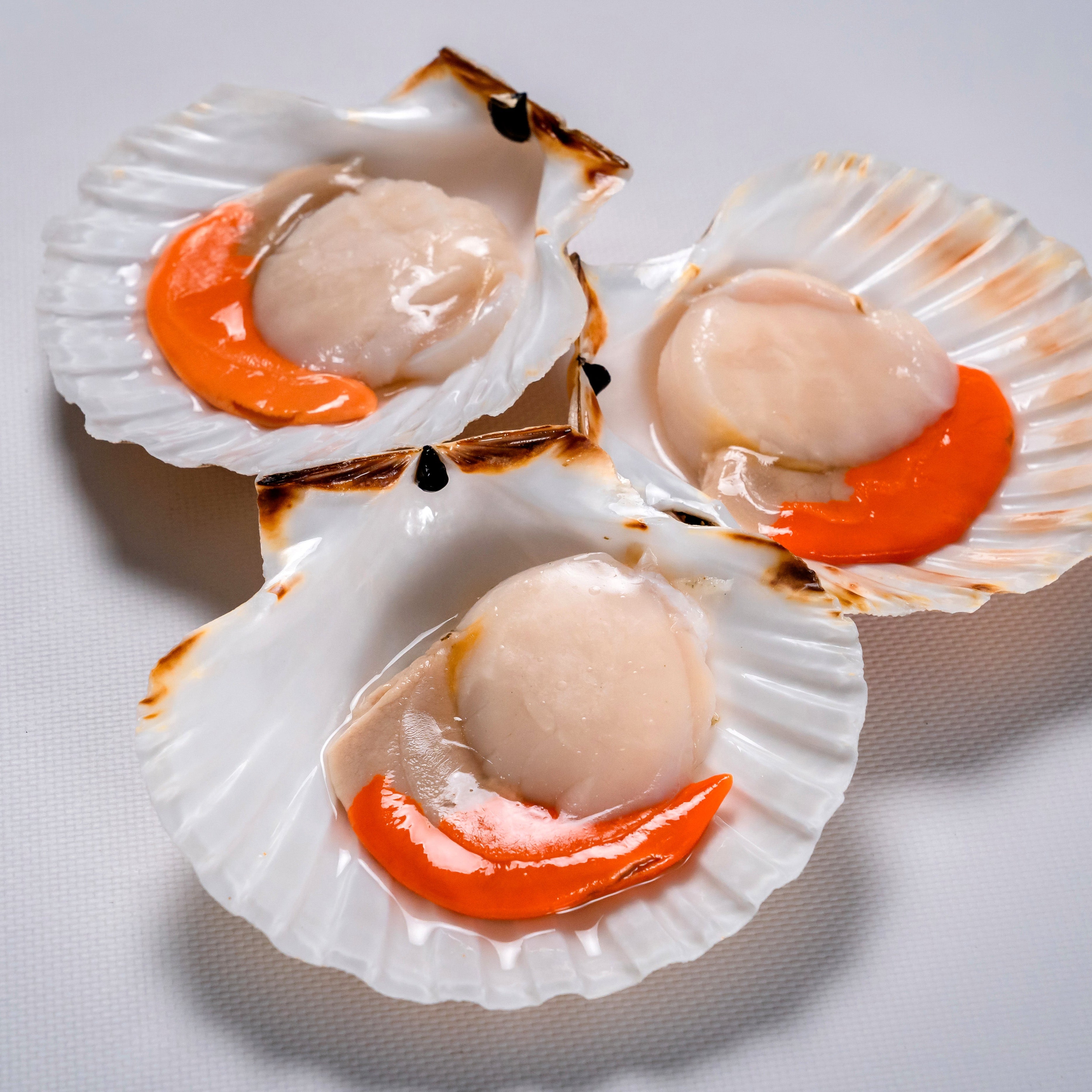 Cappesante dell’Adriatico