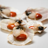 Canestrelli bianchi dell’Adriatico