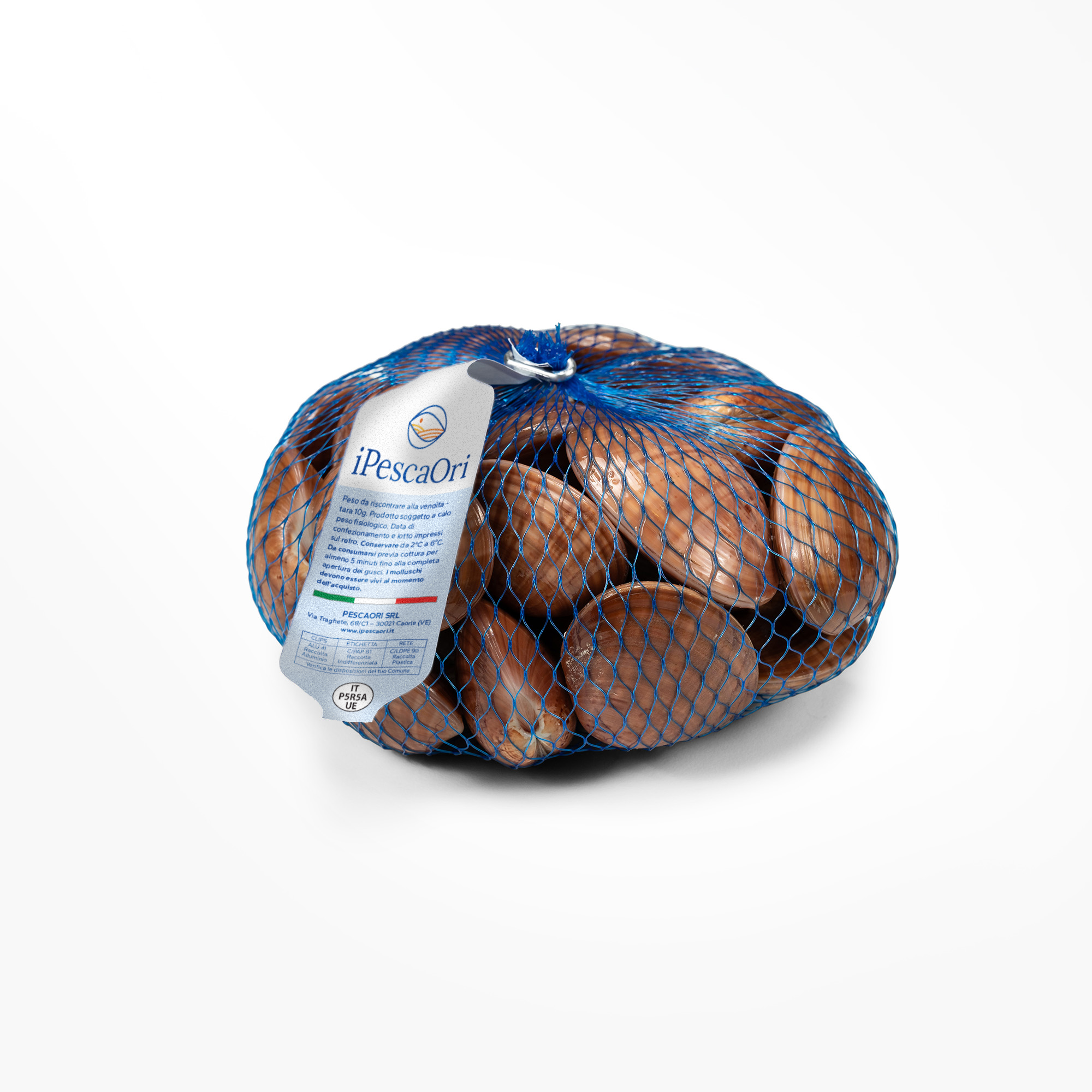 Adriatic Smooth Clams in Shell