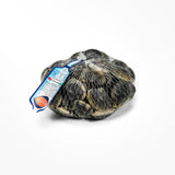 Vongole veraci con guscio