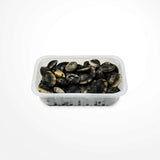 Vongole veraci con guscio