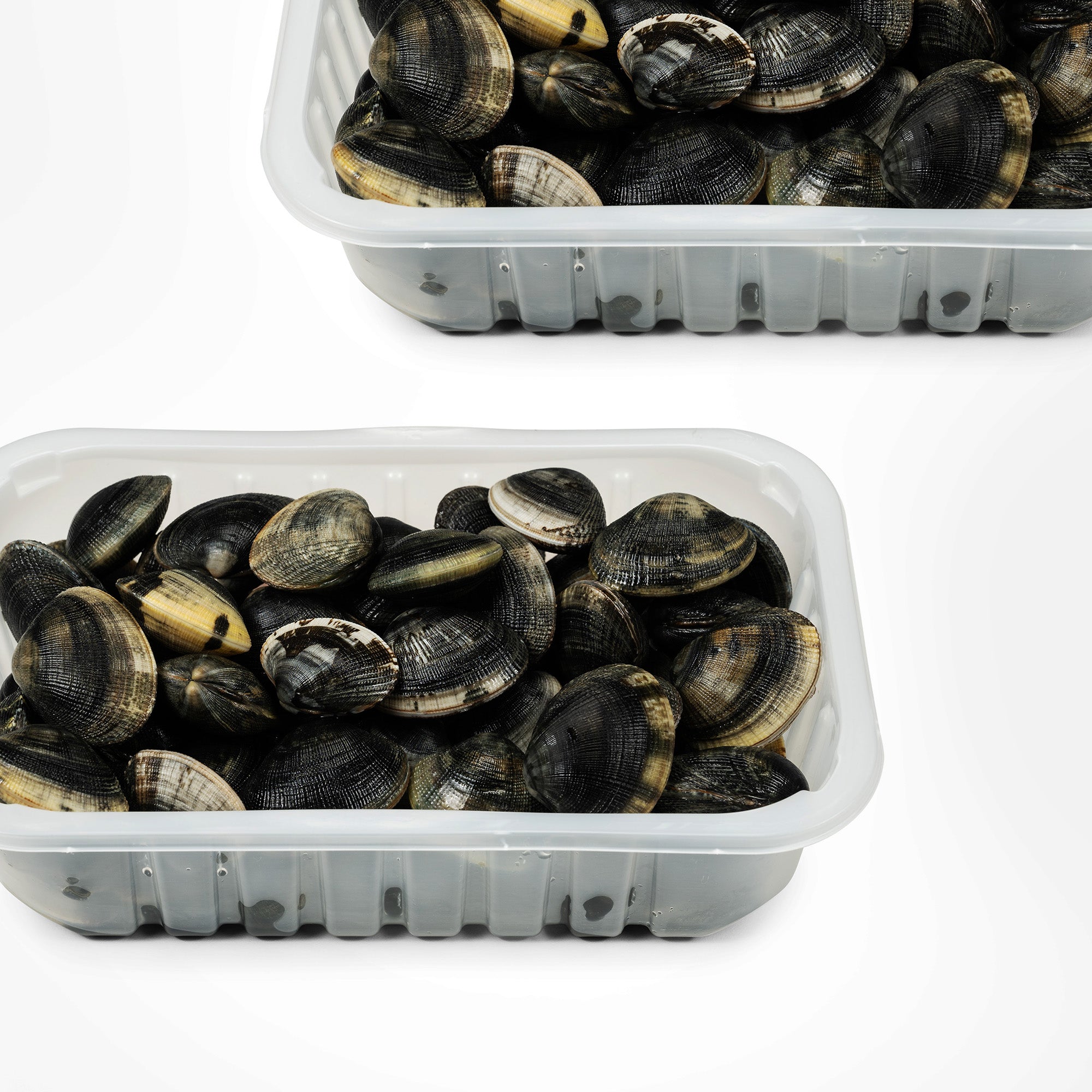 Vongole veraci con guscio