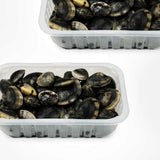 Vongole veraci con guscio