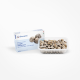 MSC-Certified Adriatic Clams in Shell — Sustainably Fished