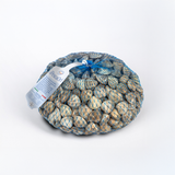 Vongole dell’Adriatico con guscio