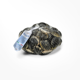 Vongole veraci con guscio